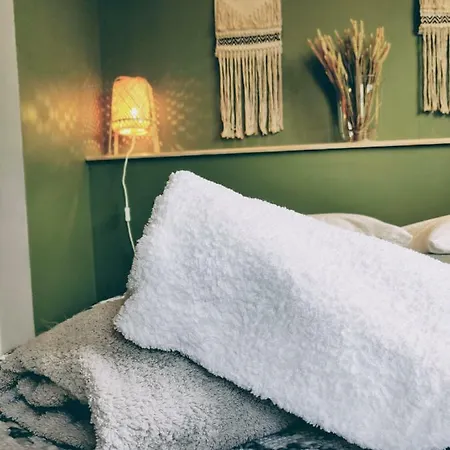 L'oliveraie - La Cite Plein Les Yeux * Carcassonne