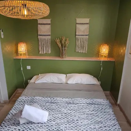 L'oliveraie - La Cite Plein Les Yeux * Carcassonne