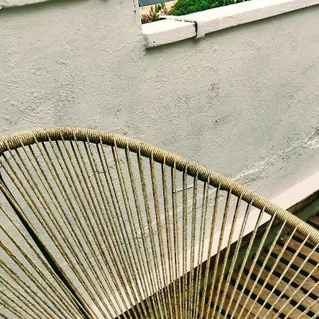 L'oliveraie - La Cite Plein Les Yeux *