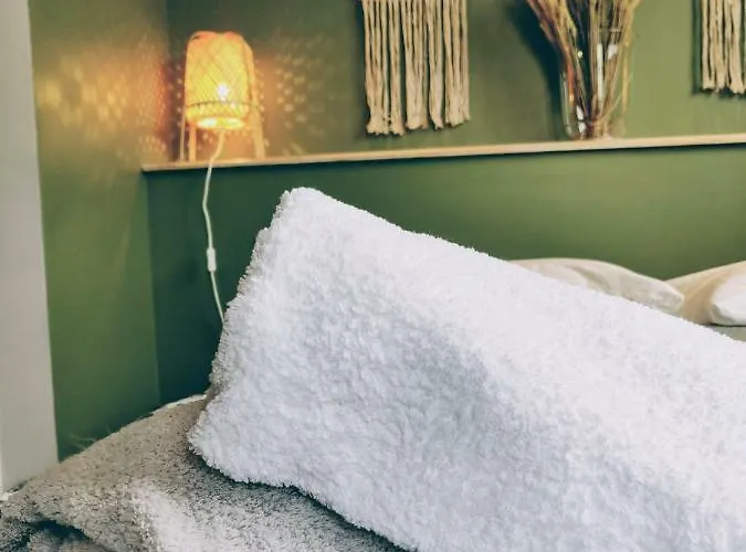 L'oliveraie - La Cite Plein Les Yeux * Каркассон